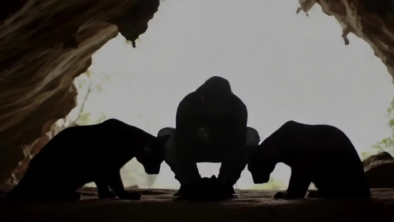 PantheraHive AI workflow demo